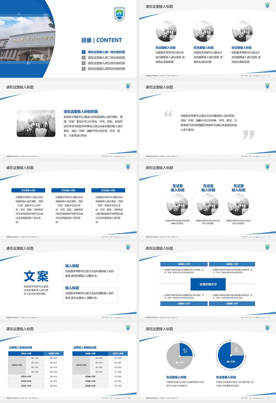 海南体育职业技术学院毕业论文答辩PPT模板下载16:9格式幻灯片预览图2