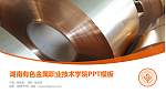 湖南有色金属职业技术学院毕业论文答辩PPT模板下载_幻灯片封面预览图
