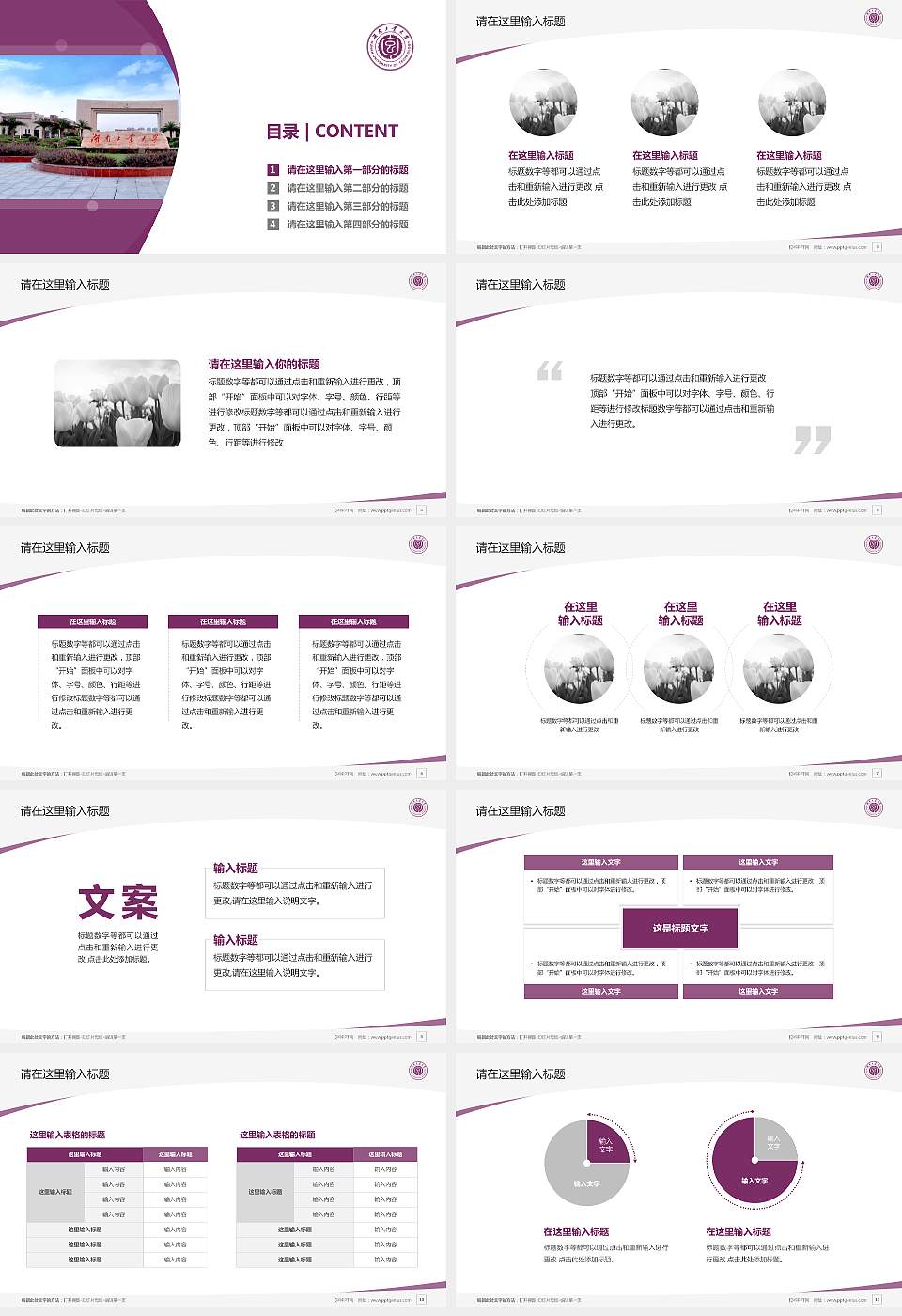 湖南工业大学毕业论文答辩PPT模板下载16:9格式幻灯片预览图2