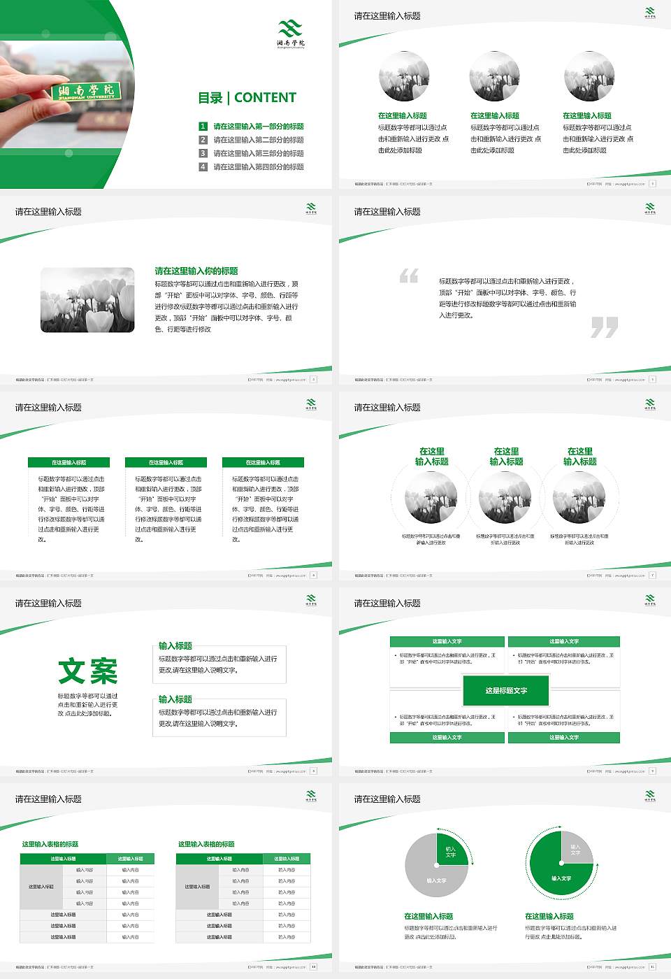 湘南学院毕业论文答辩PPT模板下载16:9格式幻灯片预览图2