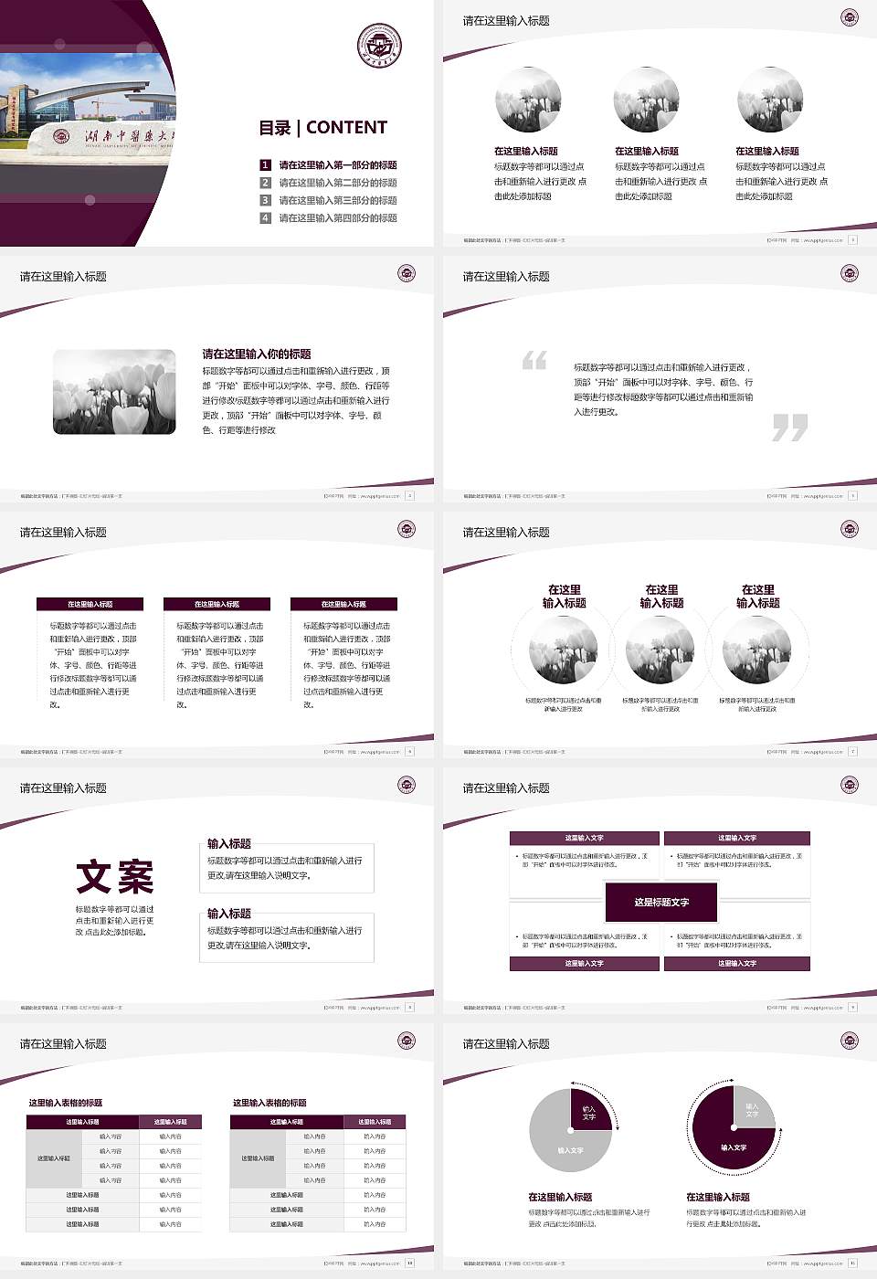 湖南中医药大学毕业论文答辩PPT模板下载16:9格式幻灯片预览图2