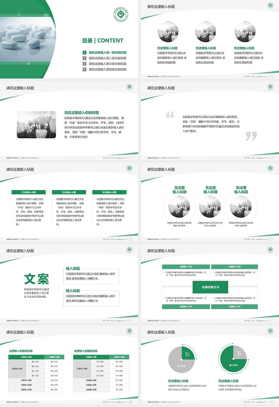 湖南食品药品职业学院毕业论文答辩PPT模板下载16:9格式幻灯片预览图2