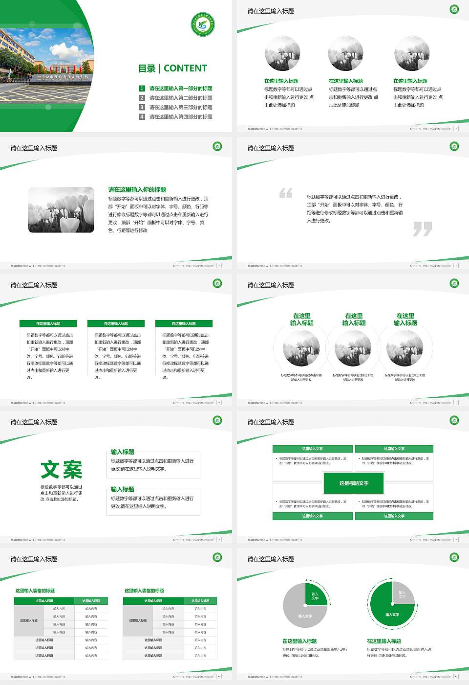 湘南幼儿师范高等专科学校毕业论文答辩PPT模板下载16:9格式幻灯片预览图2