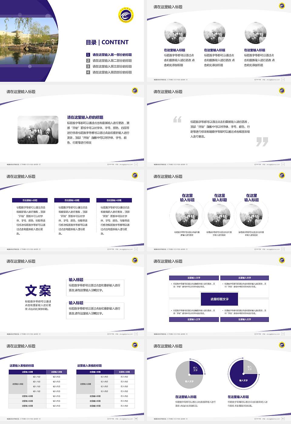 天水师范学院毕业论文答辩PPT模板下载16:9格式幻灯片预览图2