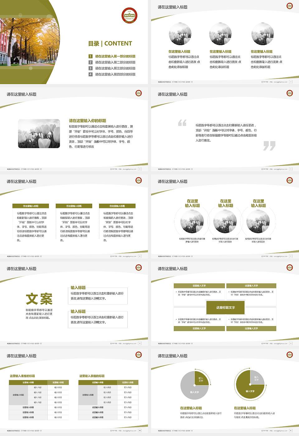 沈阳药科大学毕业论文答辩PPT模板下载16:9格式幻灯片预览图2