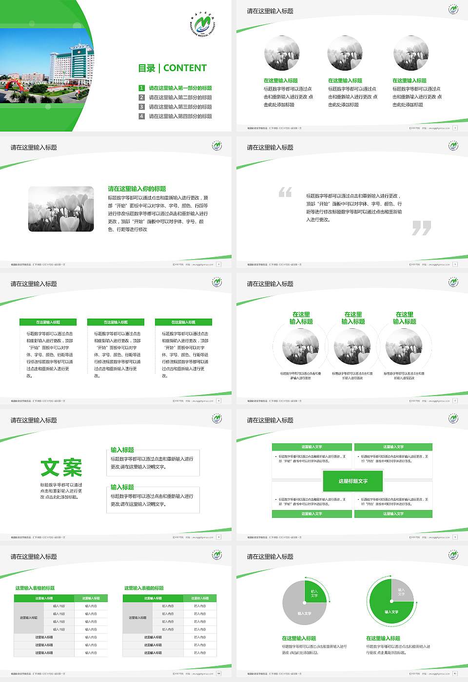 牡丹江医学院毕业论文答辩PPT模板下载16:9格式幻灯片预览图2