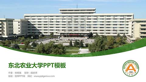 东北农业大学毕业论文答辩PPT模板下载