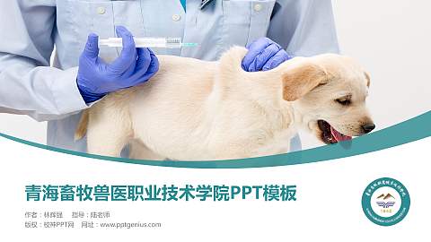 青海畜牧兽医职业技术学院毕业论文答辩PPT模板下载