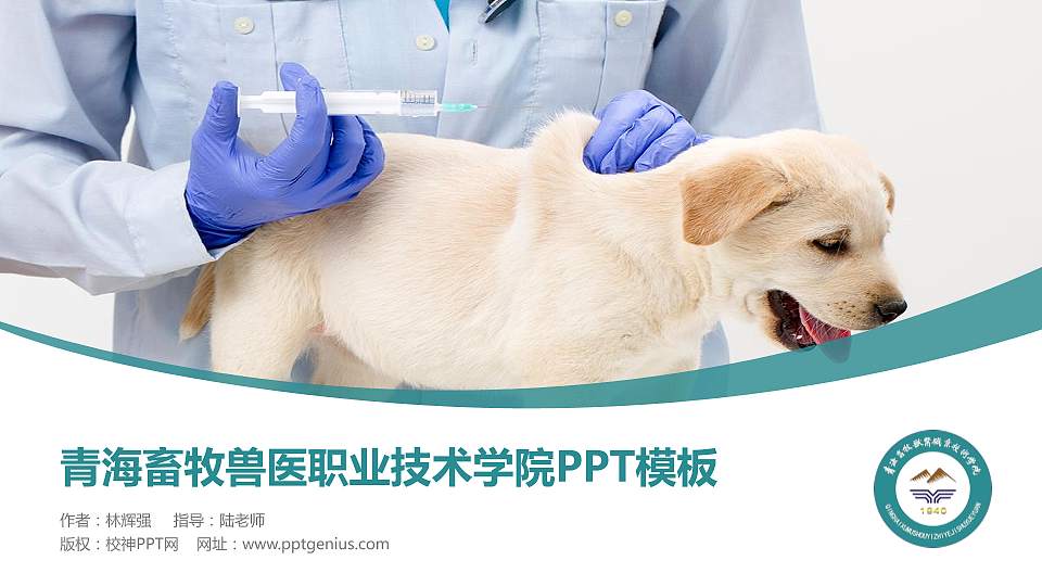 青海畜牧兽医职业技术学院毕业论文答辩PPT模板下载16:9格式PPT封面效果预览图