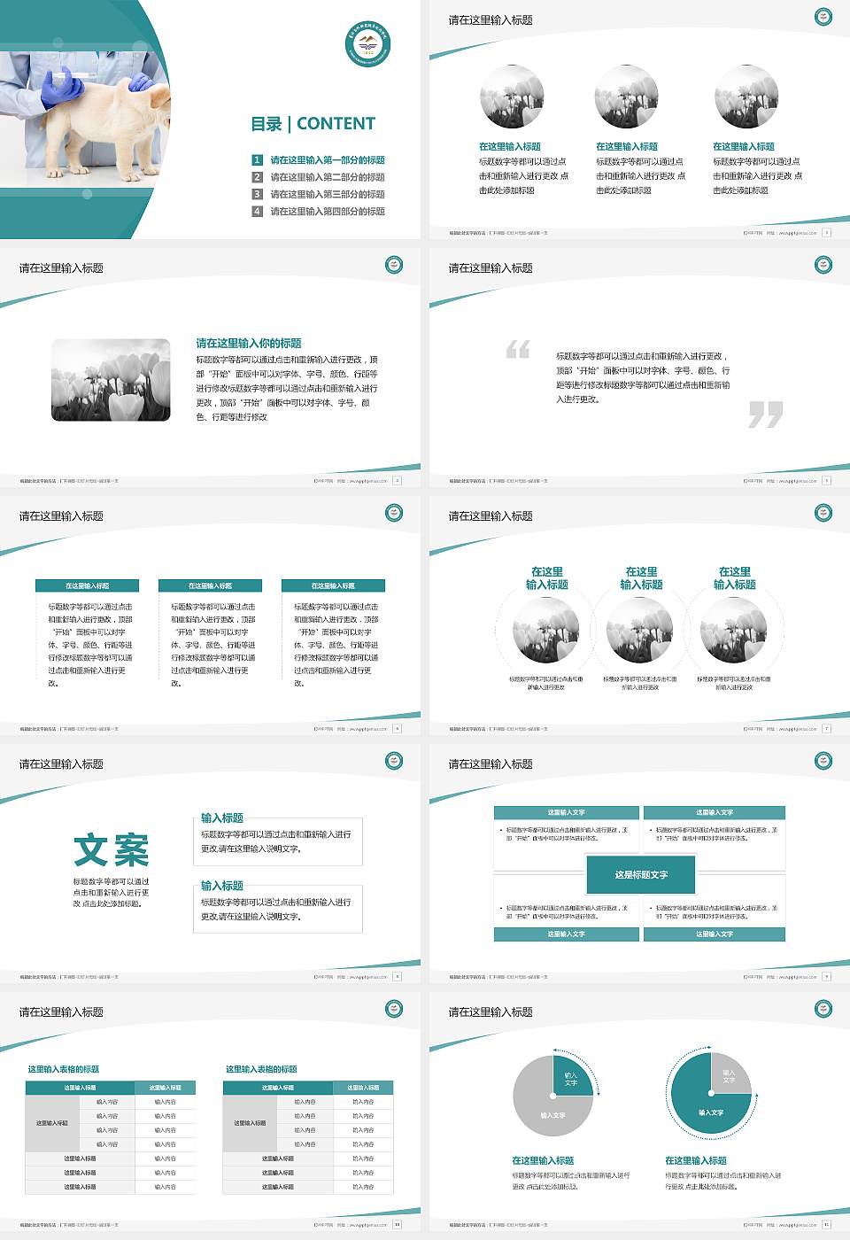 青海畜牧兽医职业技术学院毕业论文答辩PPT模板下载16:9格式幻灯片预览图2