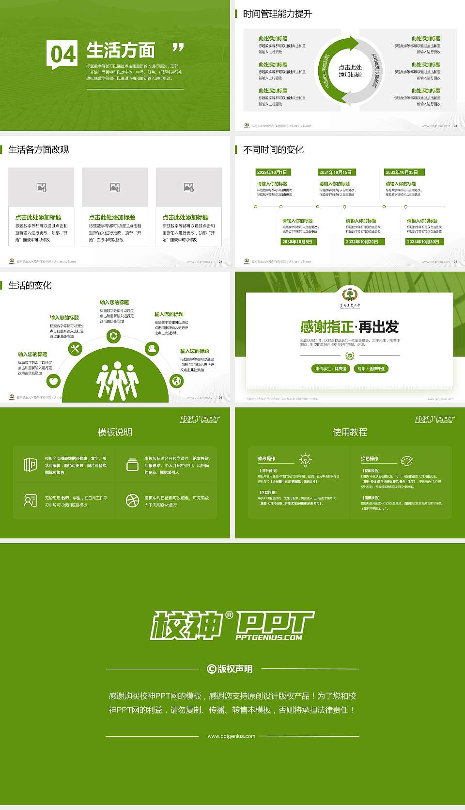 云南农业大学热带作物学院专用国家奖学金答辩PPT模板16:9格式幻灯片预览图4