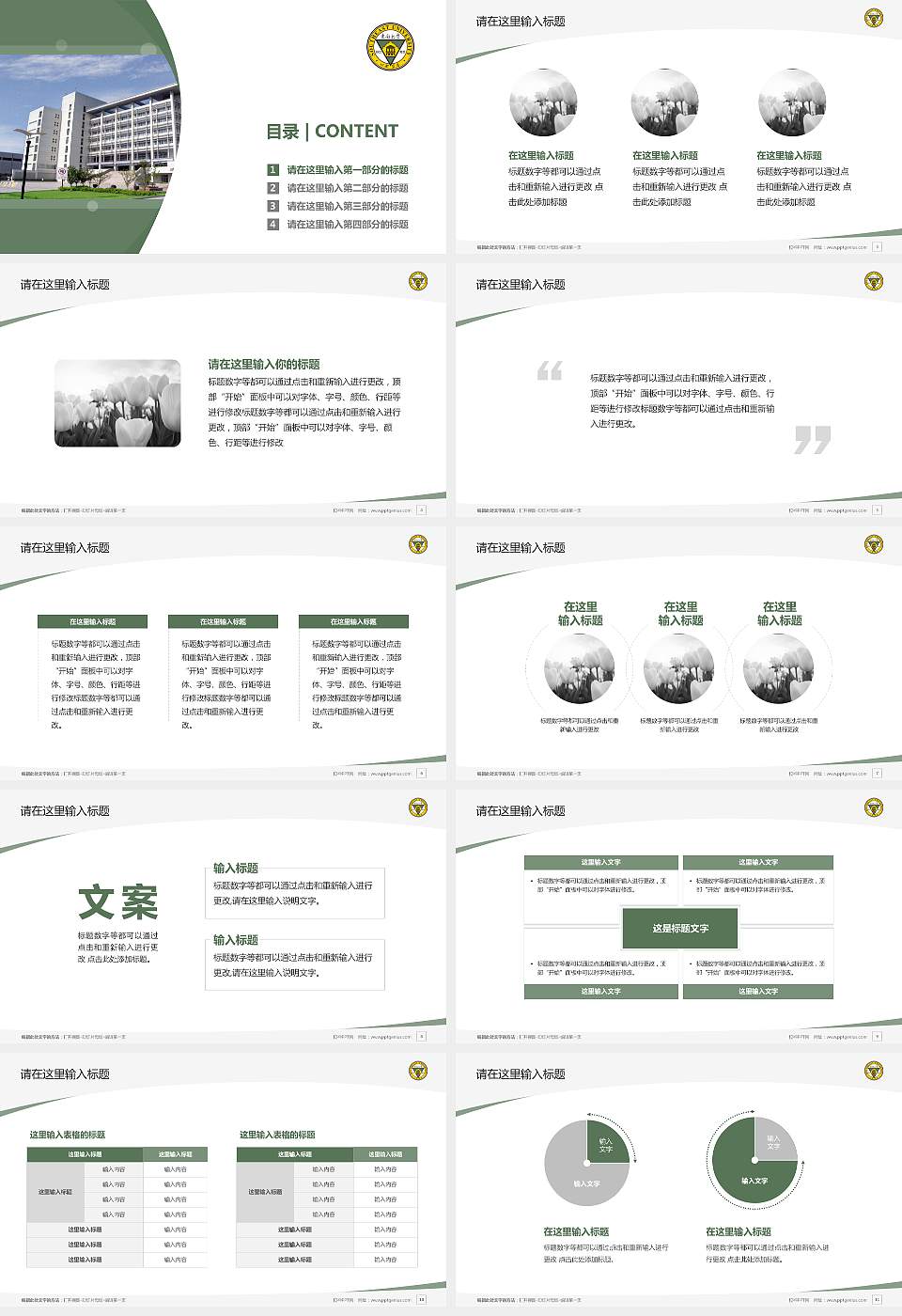东南大学成贤学院毕业论文答辩PPT模板下载16:9格式幻灯片预览图2