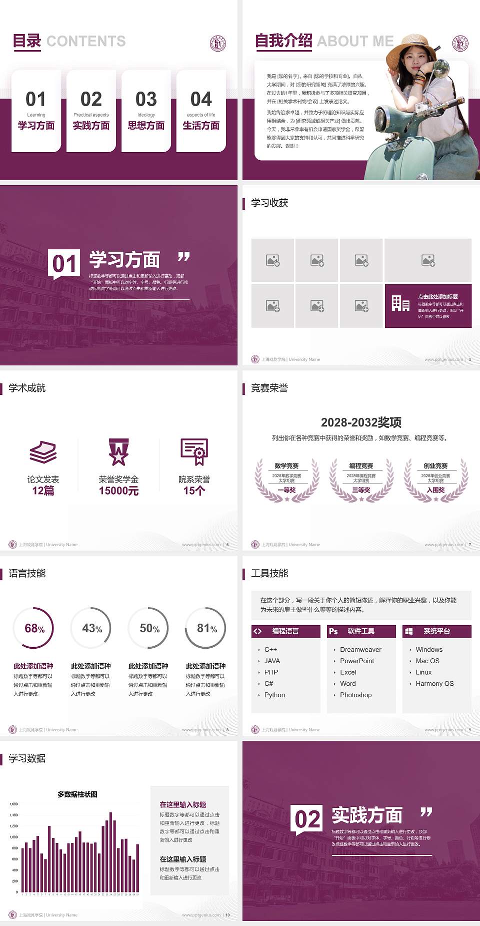 上海戏剧学院专用国家奖学金答辩PPT模板4:3格式幻灯片预览图2