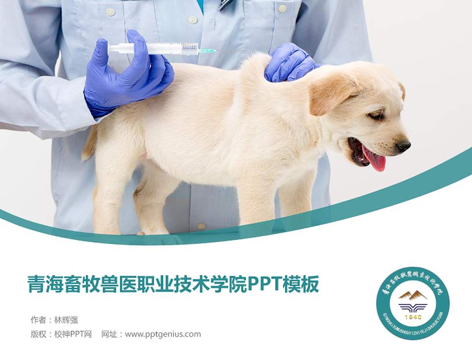 青海畜牧兽医职业技术学院毕业论文答辩PPT模板下载4:3格式PPT封面效果预览图