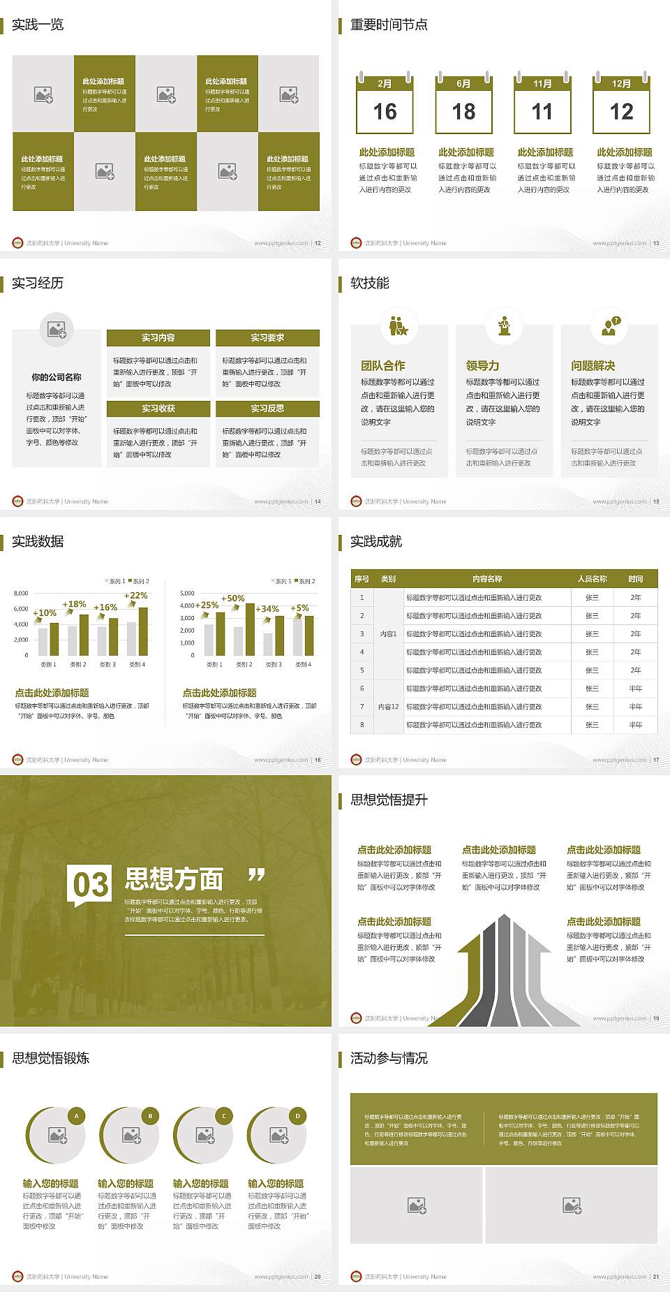 沈阳药科大学专用国家奖学金答辩PPT模板4:3格式幻灯片预览图3