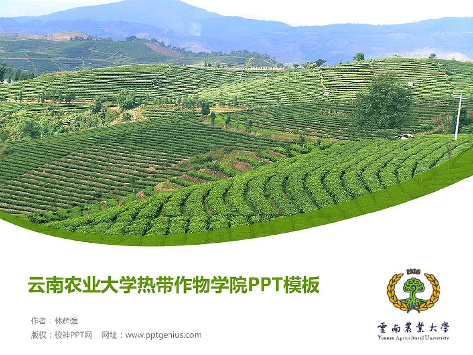 云南农业大学热带作物学院毕业论文答辩PPT模板下载4:3格式PPT封面效果预览图