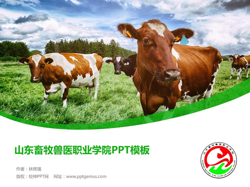 山东畜牧兽医职业学院毕业论文答辩PPT模板下载4:3格式PPT封面效果预览图