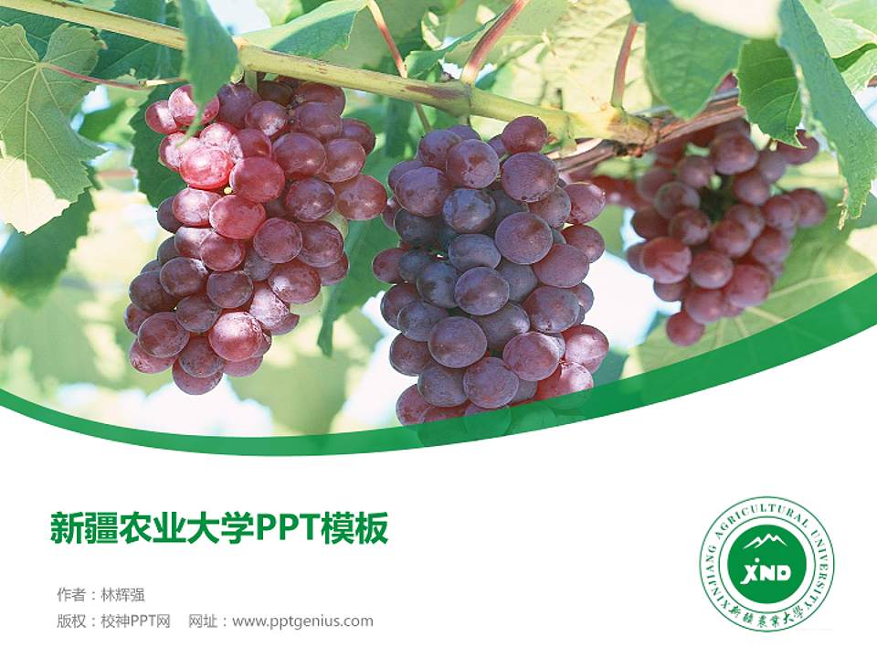 新疆农业大学毕业论文答辩PPT模板下载4:3格式PPT封面效果预览图