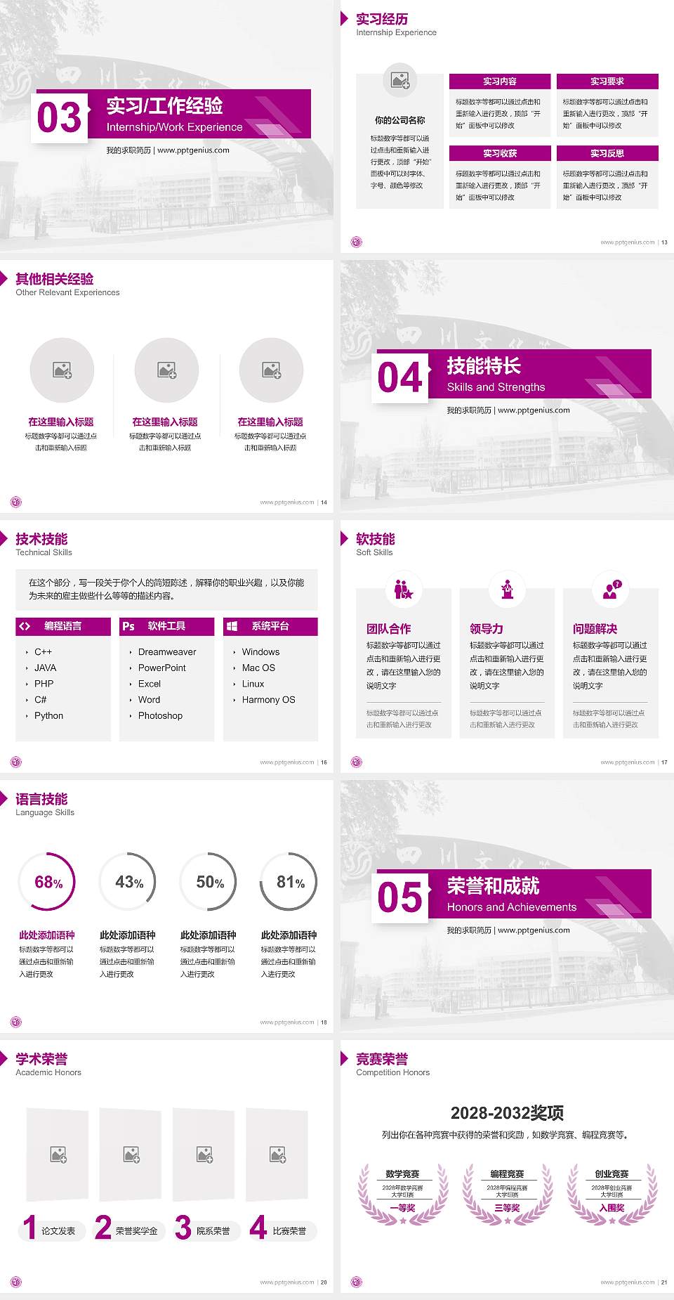 四川文化艺术学院教师/学生通用个人简历PPT模板下载4:3格式幻灯片预览图3
