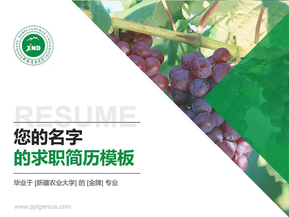 新疆农业大学教师/学生通用个人简历PPT模板下载4:3格式PPT封面效果预览图