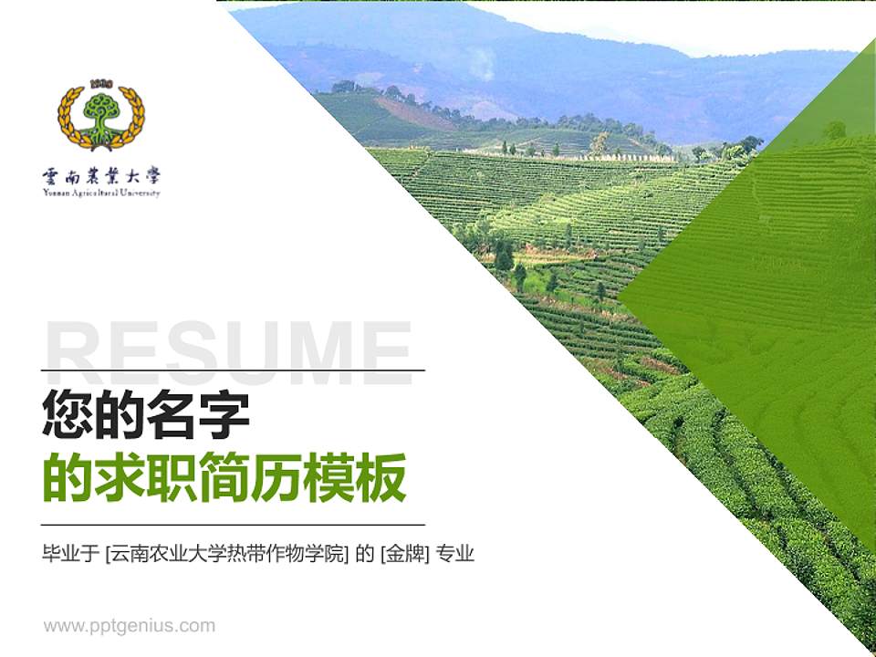 云南农业大学热带作物学院教师/学生通用个人简历PPT模板下载4:3格式PPT封面效果预览图