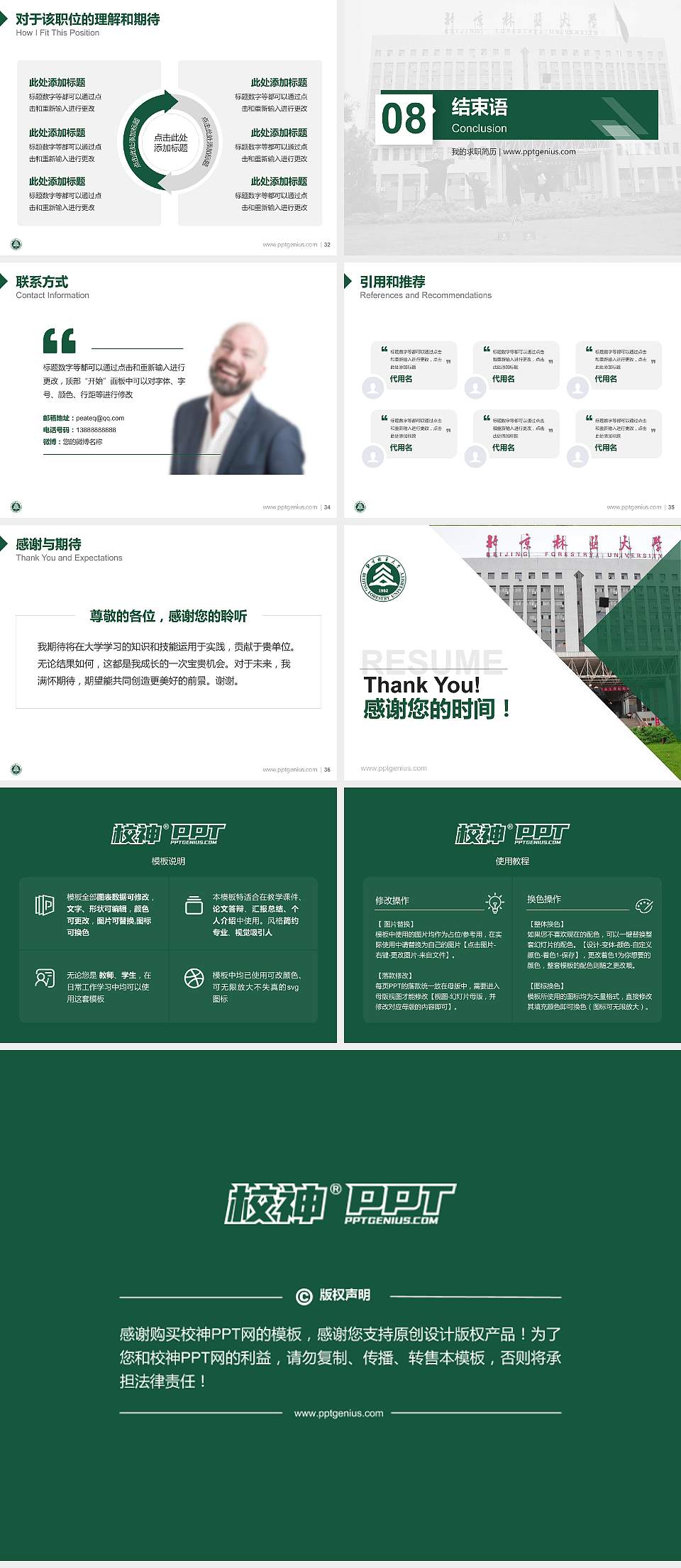 北京林业大学教师/学生通用个人简历PPT模板下载4:3格式幻灯片预览图5