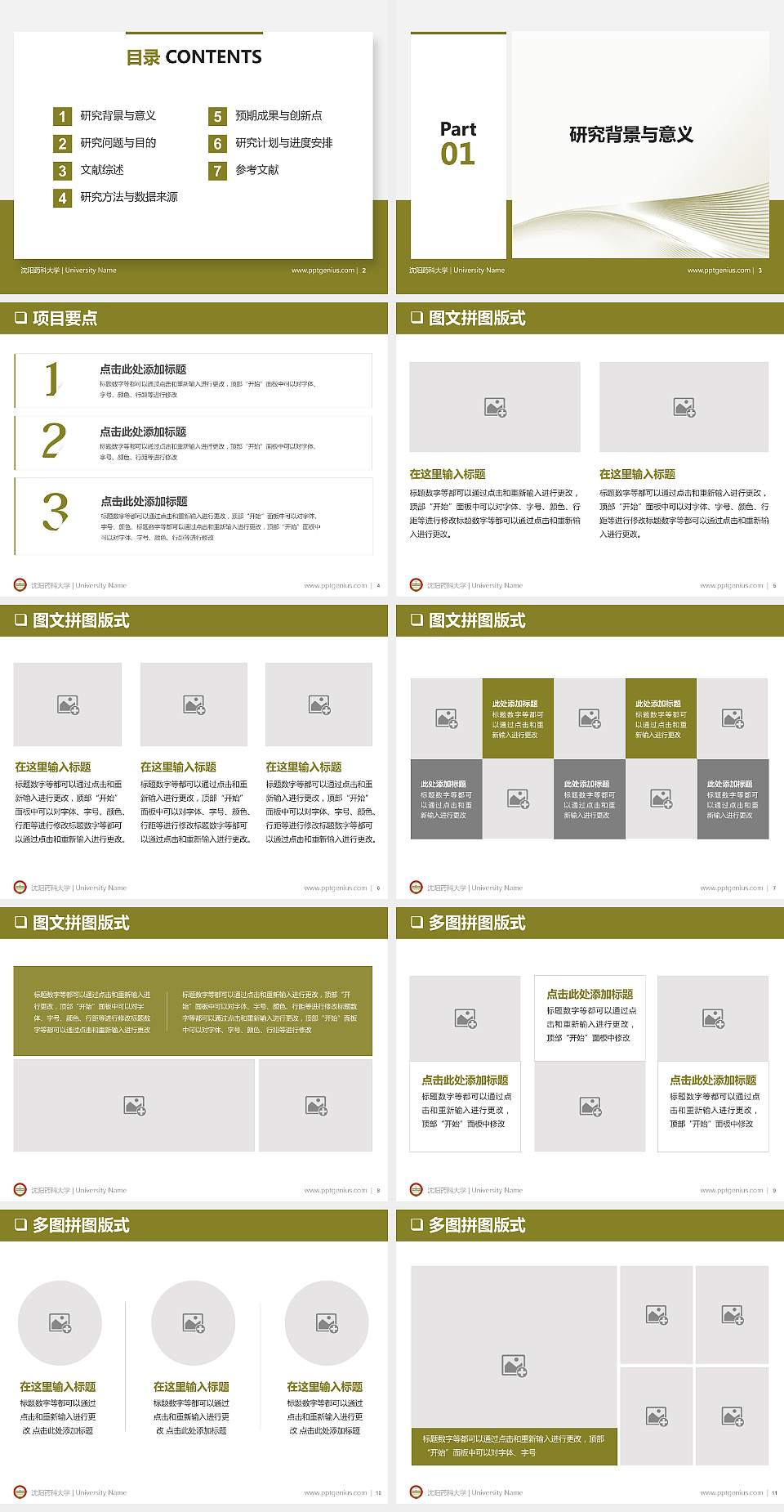 沈阳药科大学PPT模板下载4:3格式幻灯片预览图2