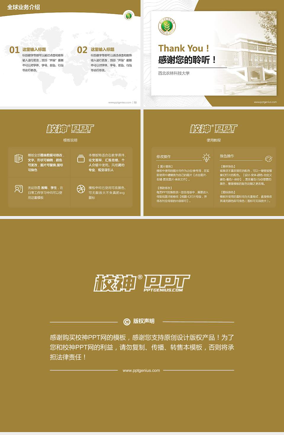 西北农林科技大学学术汇报/学术交流研讨会通用PPT模板下载4:3格式幻灯片预览图5