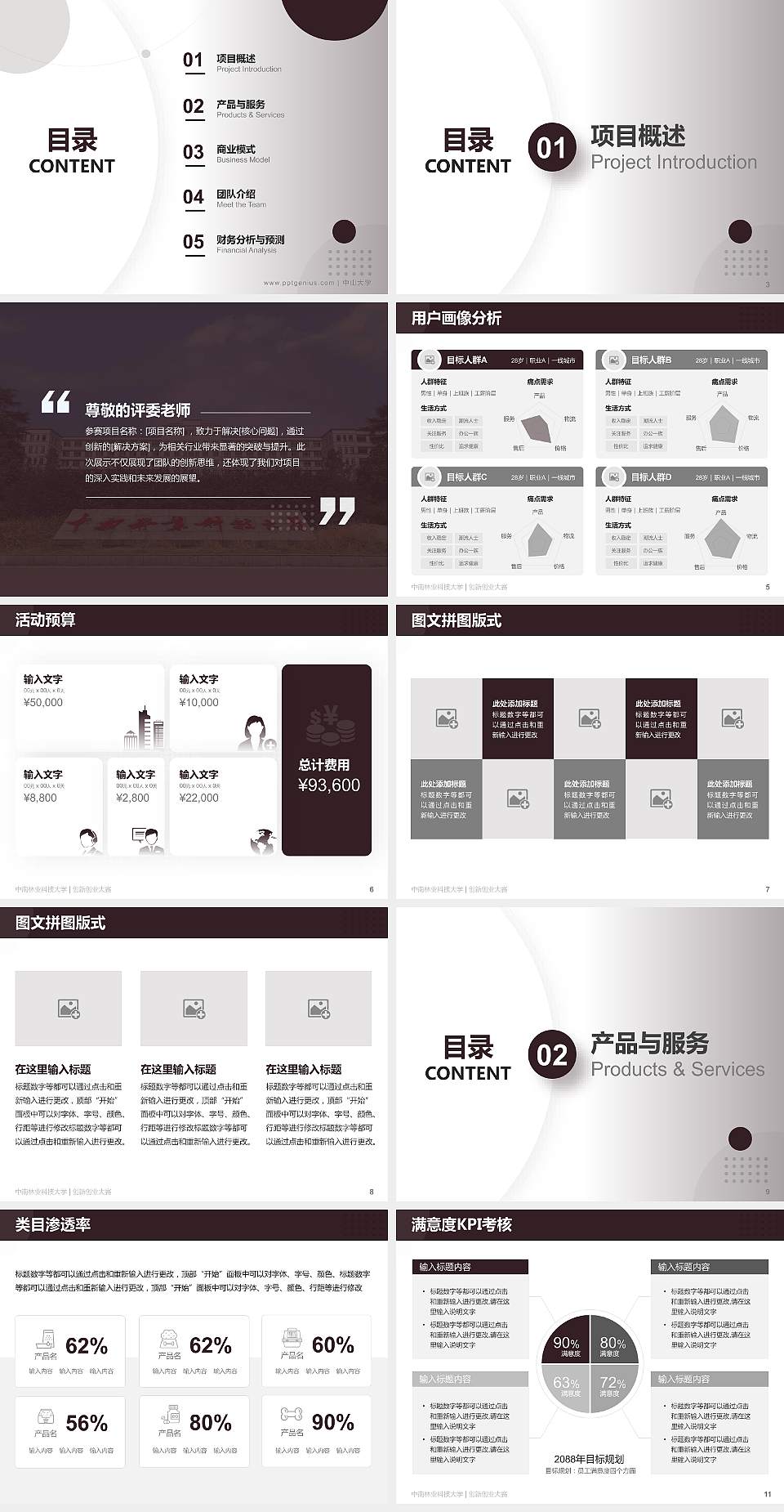 中南林业科技大学全国大学生创新创业大赛计划书PPT模板4:3格式幻灯片预览图2