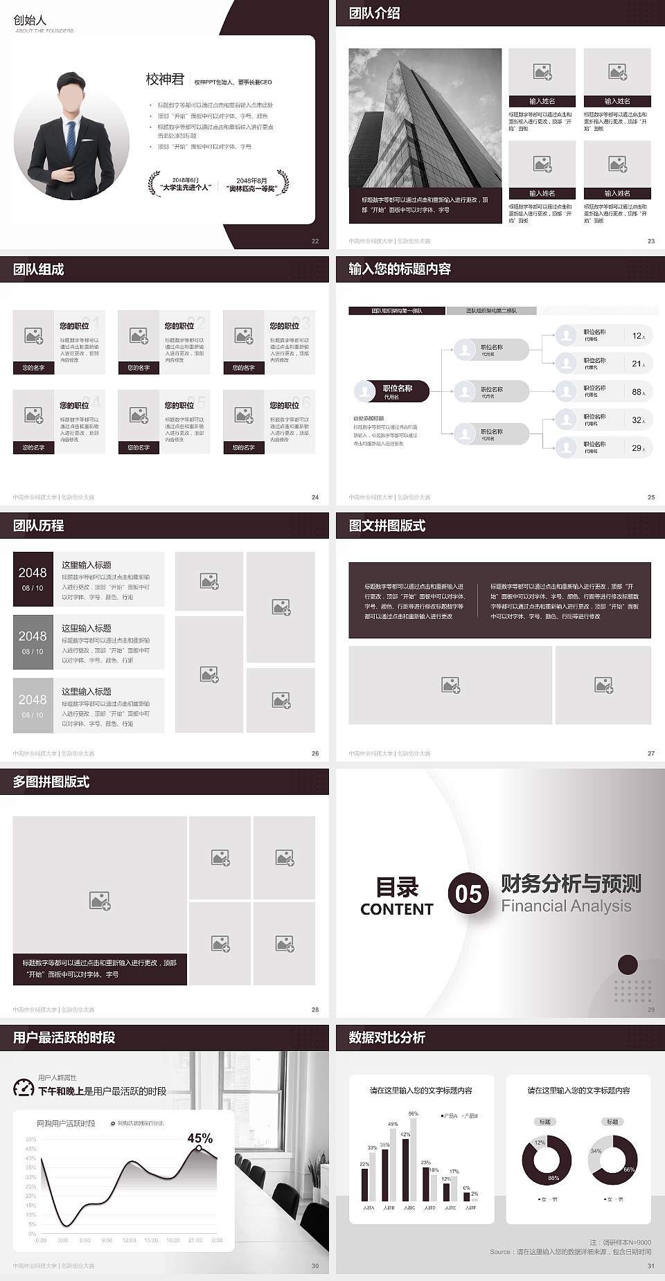 中南林业科技大学全国大学生创新创业大赛计划书PPT模板4:3格式幻灯片预览图4