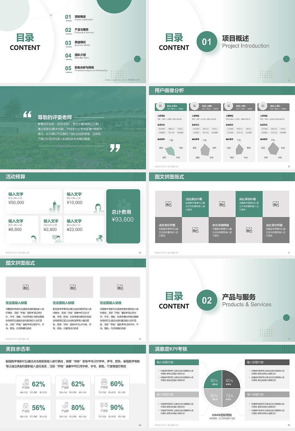中国药科大学全国大学生创新创业大赛计划书PPT模板16:9格式幻灯片预览图2