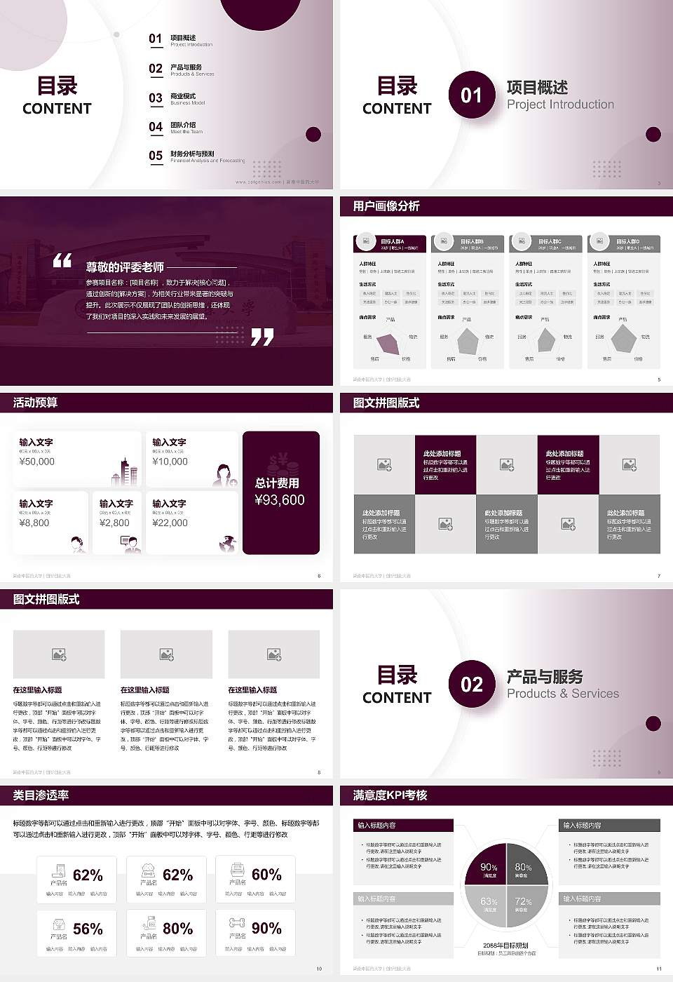 湖南中医药大学全国大学生创新创业大赛计划书PPT模板16:9格式幻灯片预览图2