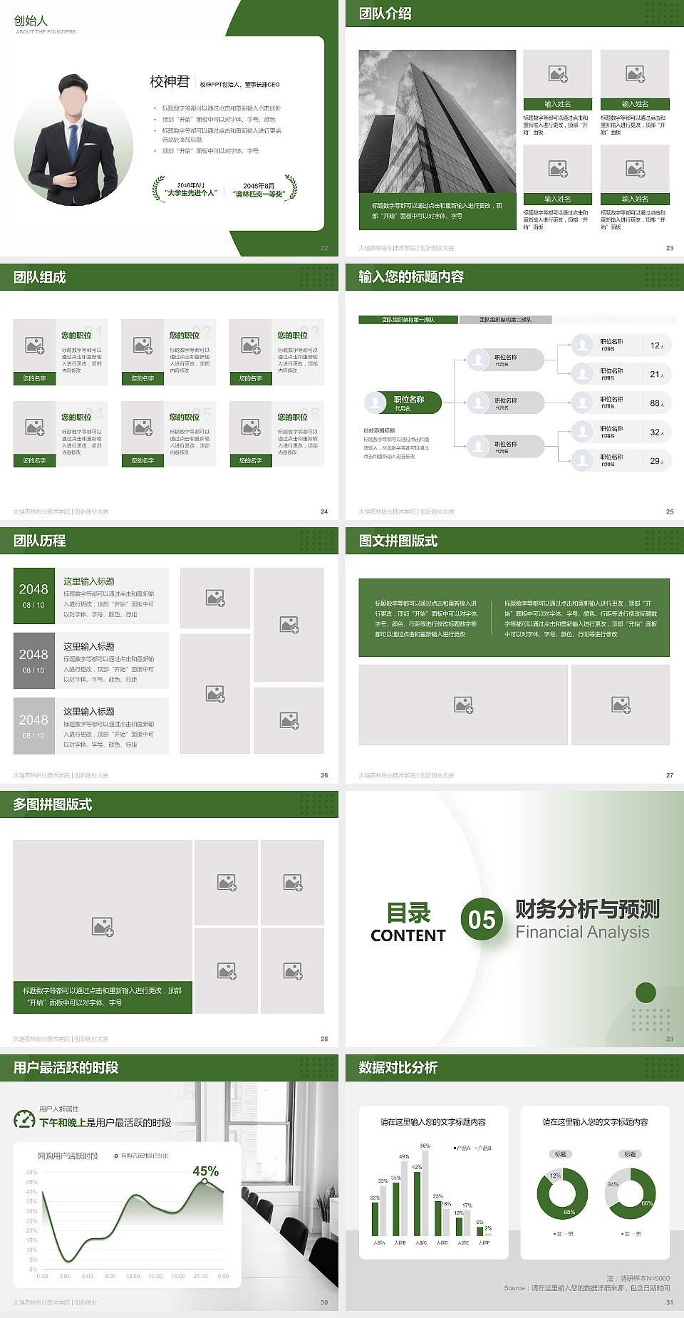 大理农林职业技术学院全国大学生创新创业大赛计划书PPT模板4:3格式幻灯片预览图4