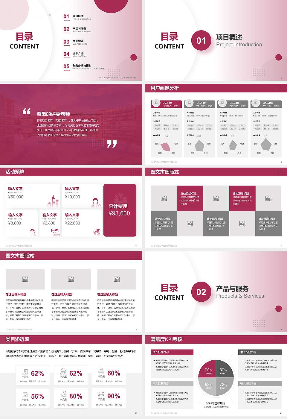 四川护理职业学院全国大学生创新创业大赛计划书PPT模板16:9格式幻灯片预览图2