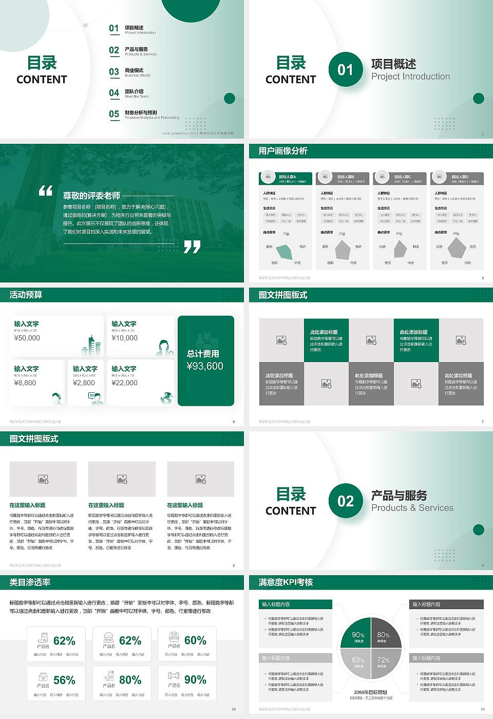 青岛农业大学海都学院全国大学生创新创业大赛计划书PPT模板16:9格式幻灯片预览图2