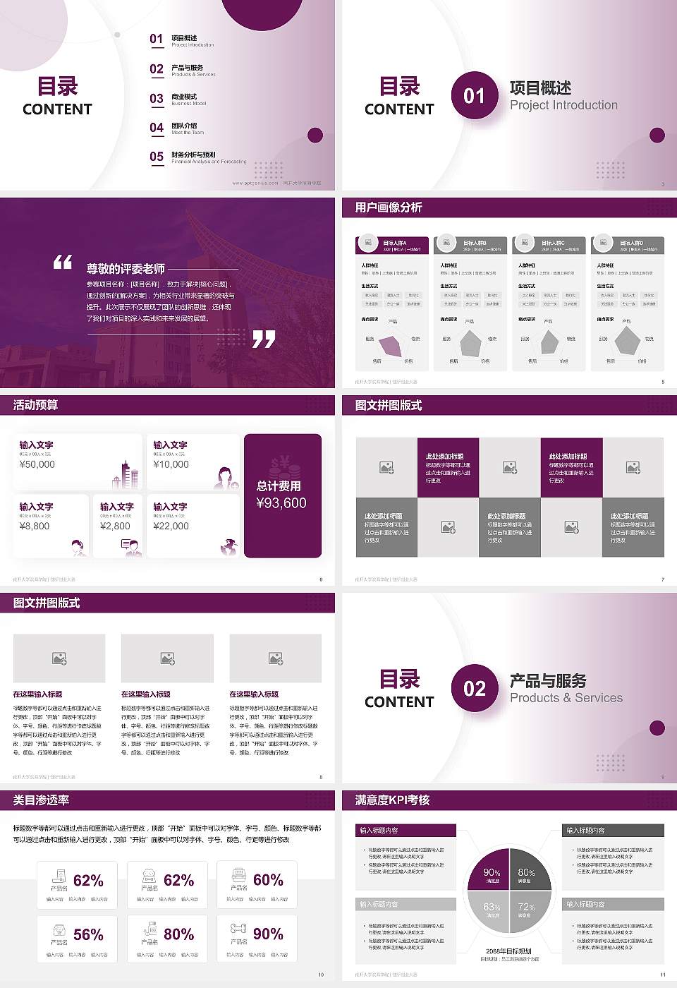 南开大学滨海学院全国大学生创新创业大赛计划书PPT模板16:9格式幻灯片预览图2