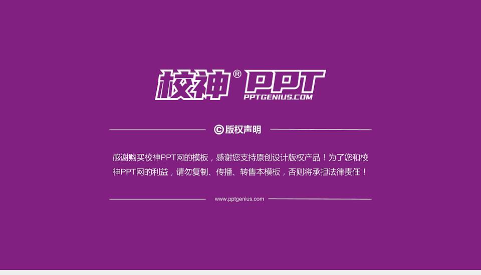 重庆电子科技职业大学PhD博士申请面试/复试答辩通用PPT模板16:9格式幻灯片预览图5