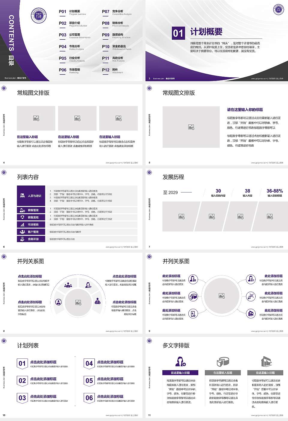 海南东方新丝路职业学院专用全国大学生互联网+创新创业大赛计划书/路演/网评PPT模板16:9格式幻灯片预览图2
