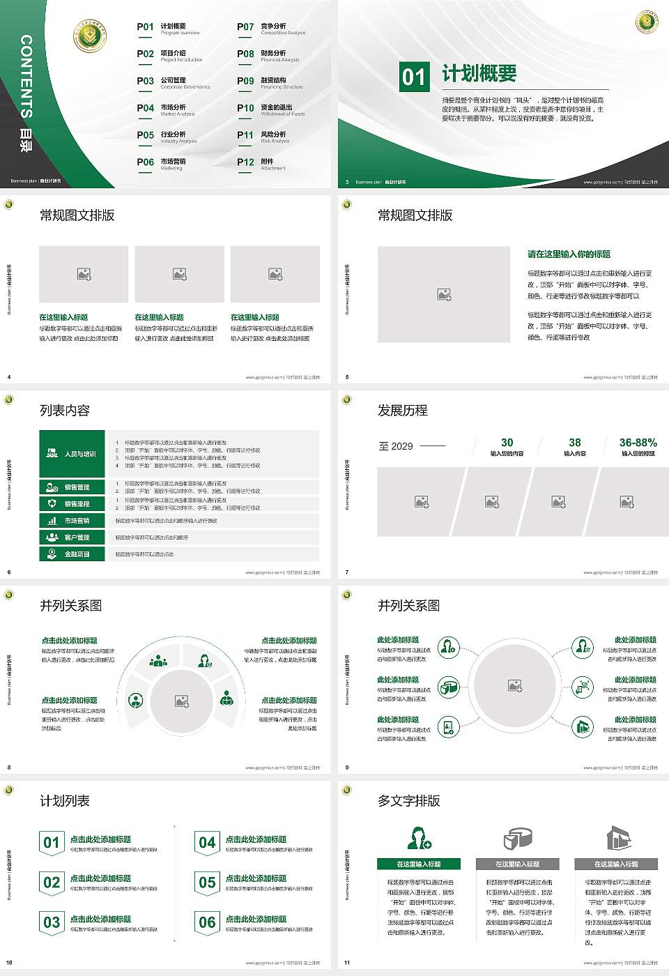 驻马店农业工程职业学院专用全国大学生互联网+创新创业大赛计划书/路演/网评PPT模板16:9格式幻灯片预览图2