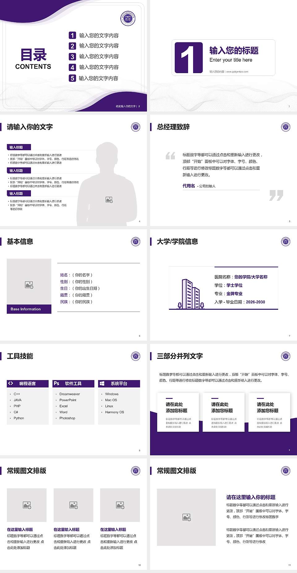 海南东方新丝路职业学院大学生职业生涯规划书PPT模板下载4:3格式幻灯片预览图2